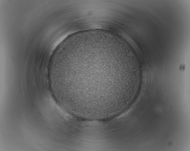 X0000114211023200910091319