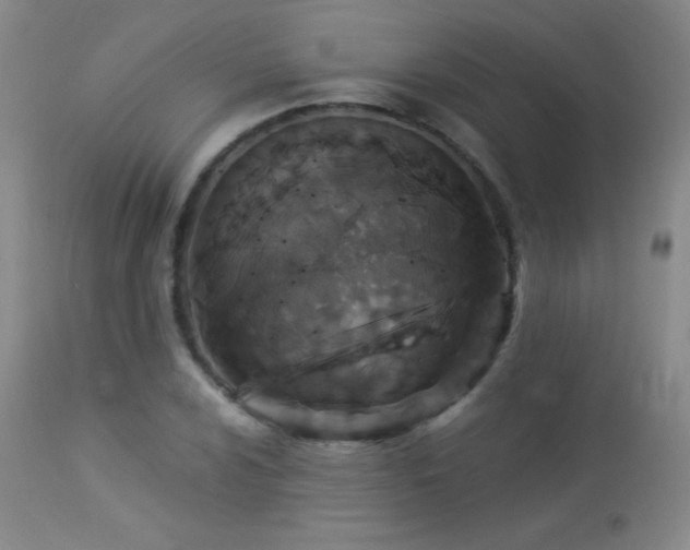 X0000114211024200910091319