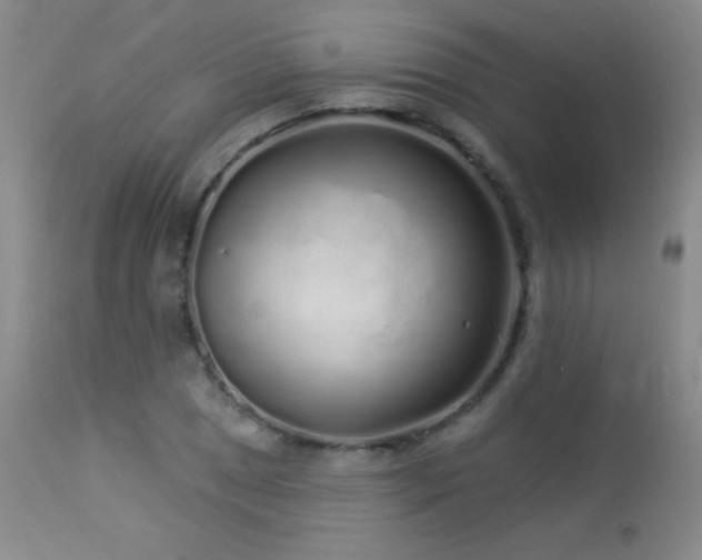X0000114211025200910091319
