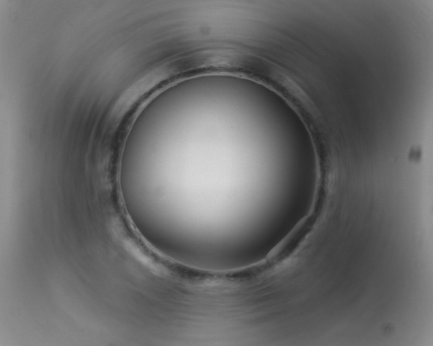X0000114211026200910091319