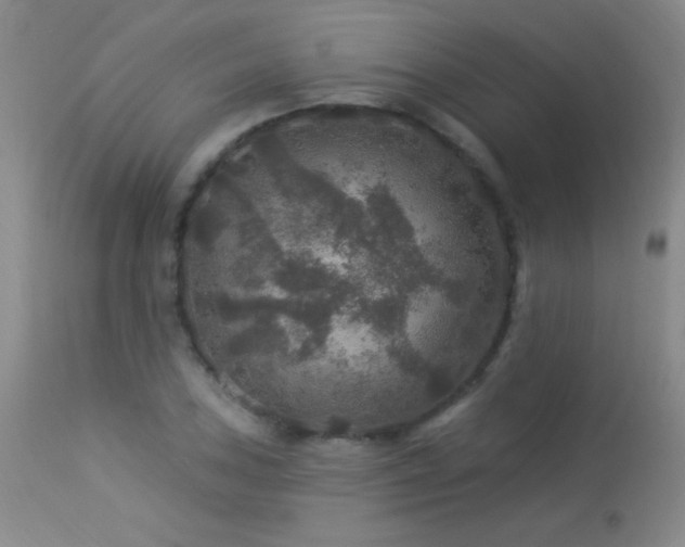 X0000114211027200910091319