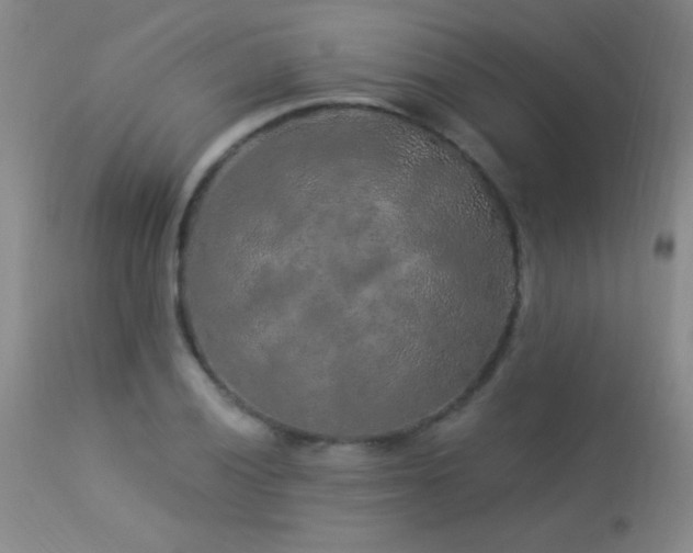 X0000114211028200910091319