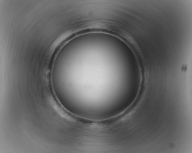 X0000114211029200910091319