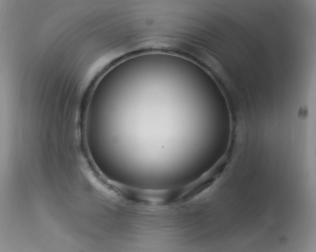 X0000114211030200910091319