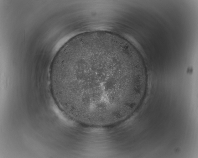 X0000114211031200910091319