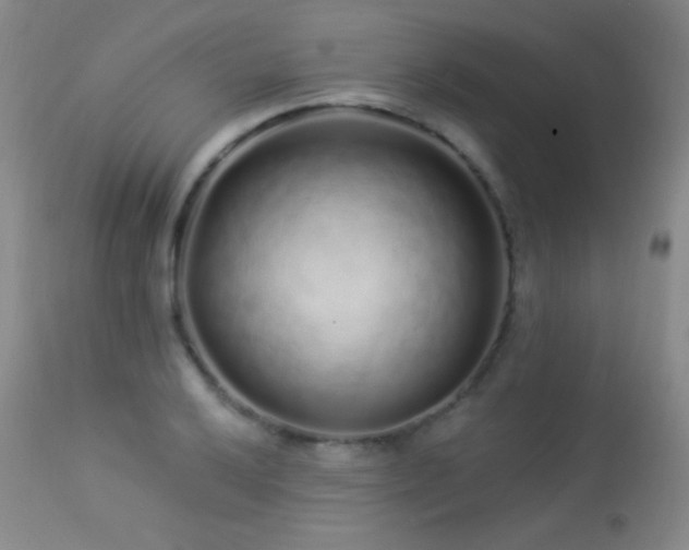 X0000114211032200910091319