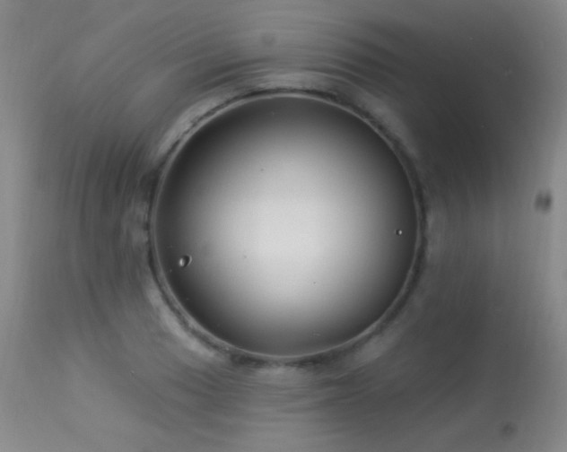 X0000114211033200910091319