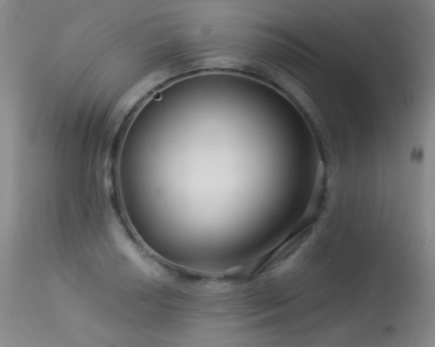 X0000114211034200910091319