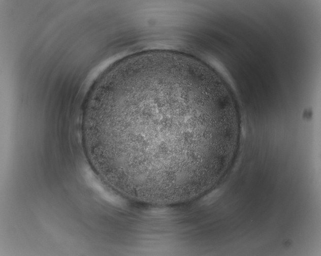 X0000114211035200910091319