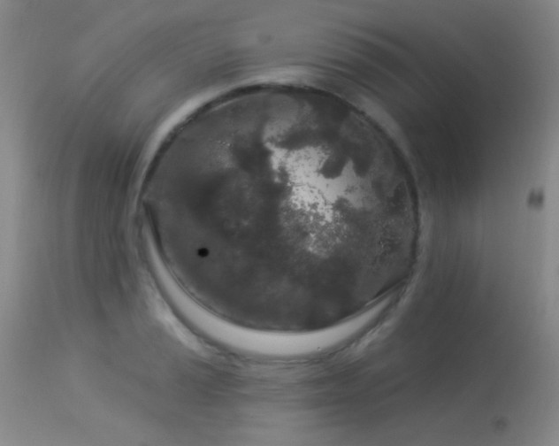 X0000114211037200910091319
