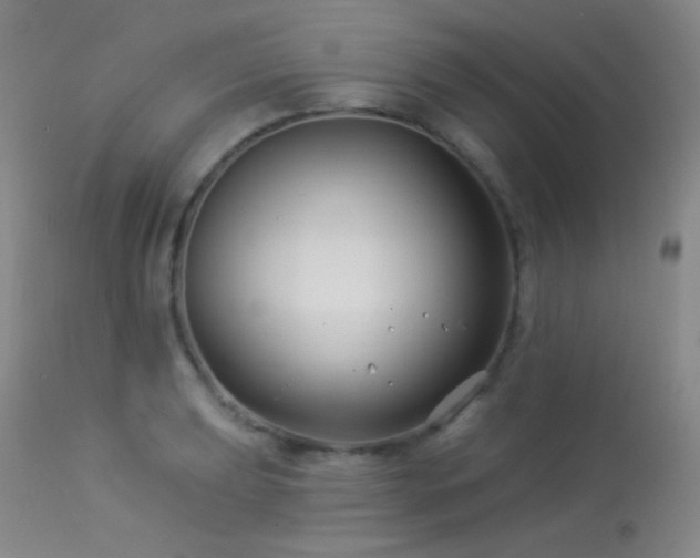 X0000114211039200910091319