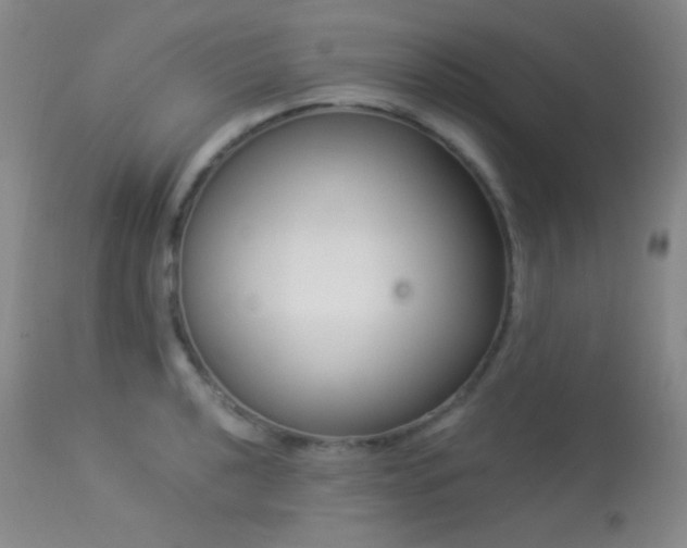 X0000114211040200910091319