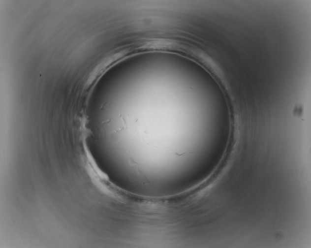 X0000114211041200910091319