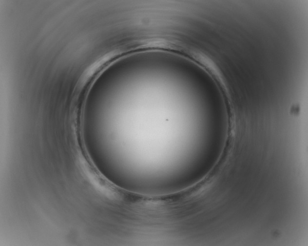 X0000114211043200910091319