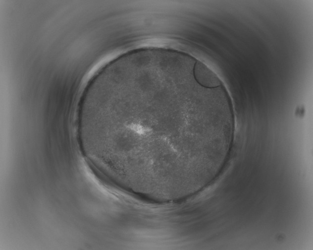X0000114211045200910091319