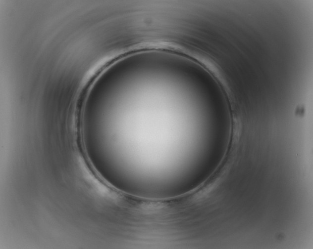 X0000114211046200910091319