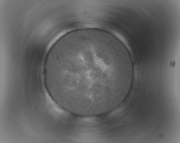 X0000114211047200910091319