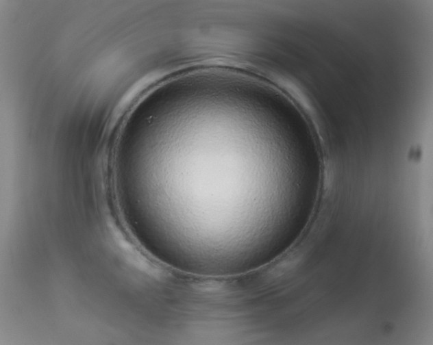 X0000114211048200910091319