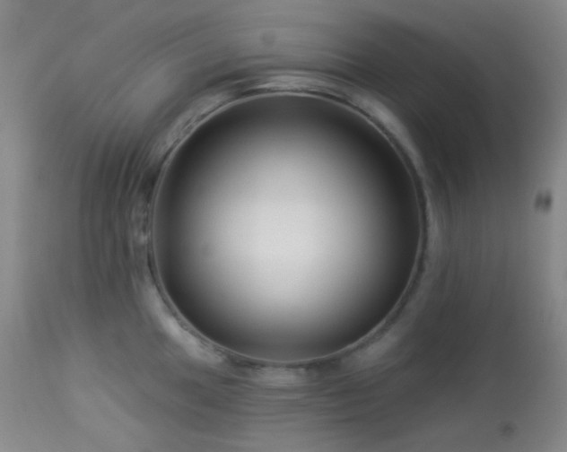 X0000114211049200910091319