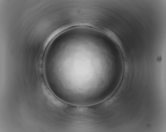 X0000114211052200910091319