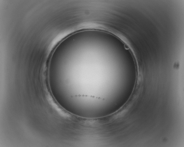 X0000114211053200910091319
