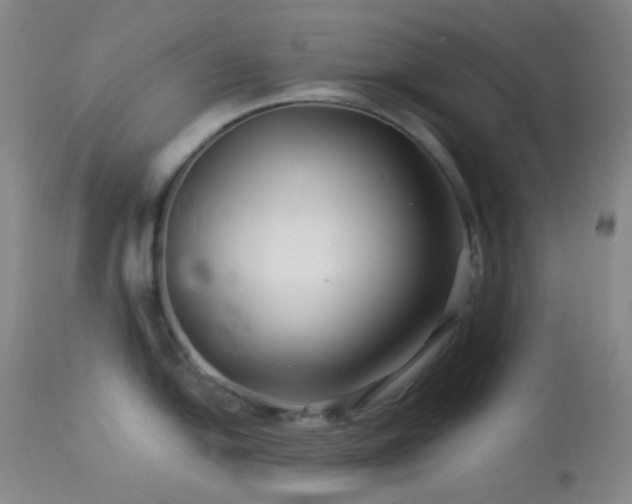 X0000114211054200910091319