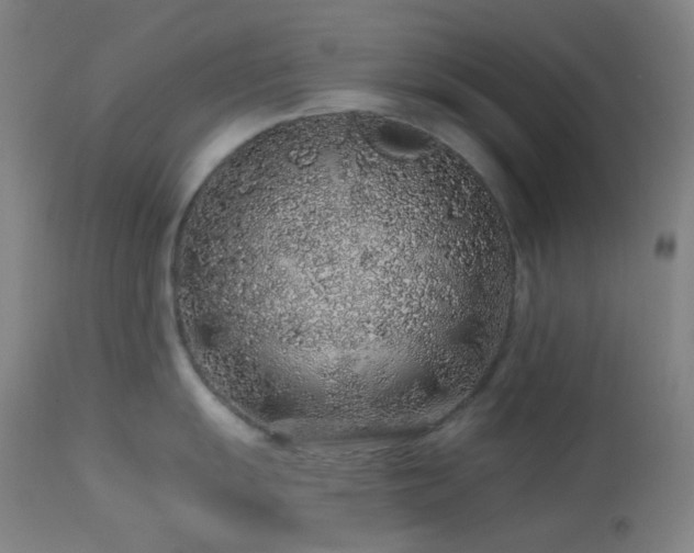 X0000114211055200910091319