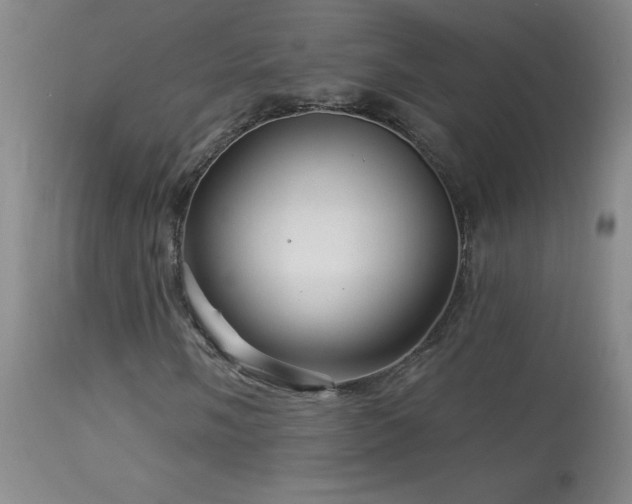X0000114211058200910091319
