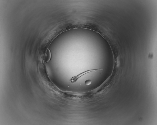 X0000114211059200910091319