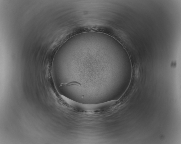 X0000114211060200910091319