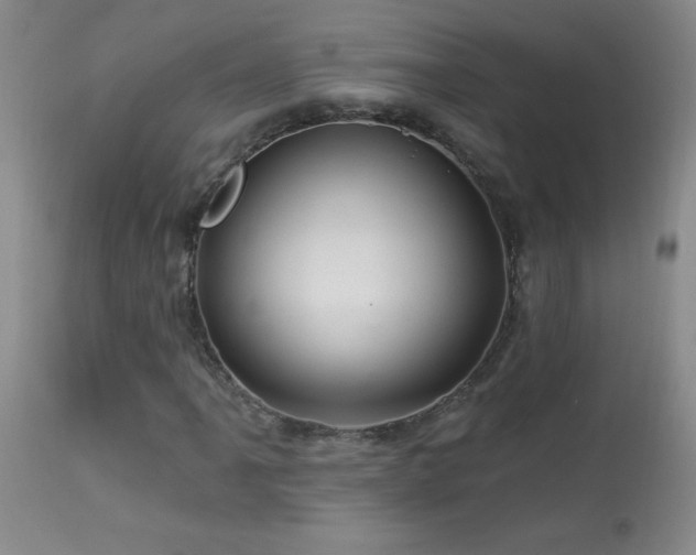 X0000114211061200910091319