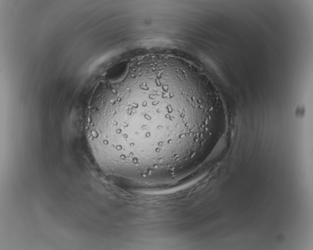 X0000114211063200910091319