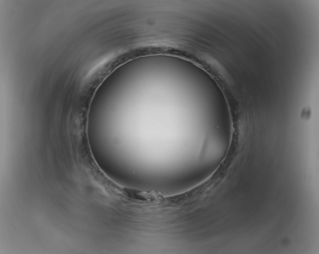 X0000114211064200910091319