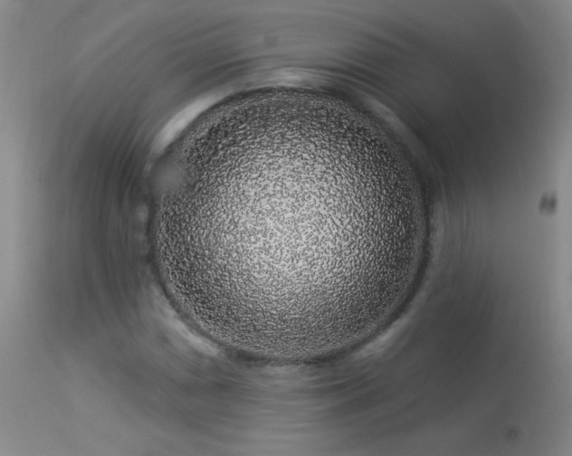 X0000114211066200910091318