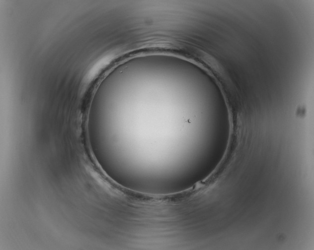 X0000114211067200910091318