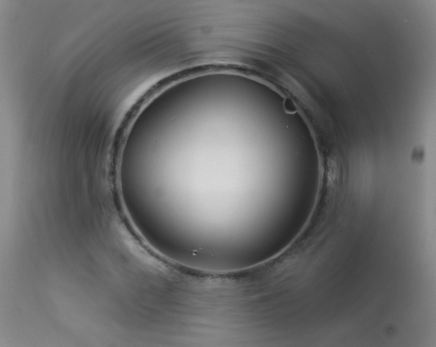 X0000114211068200910091318