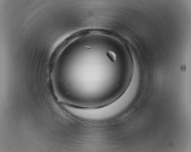 X0000114211069200910091318