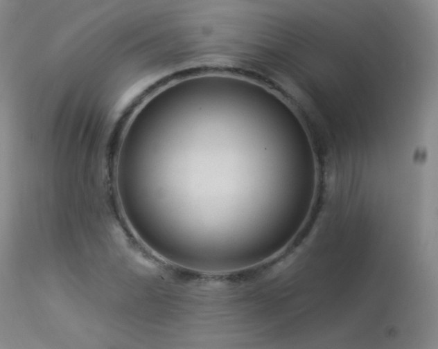 X0000114211070200910091318
