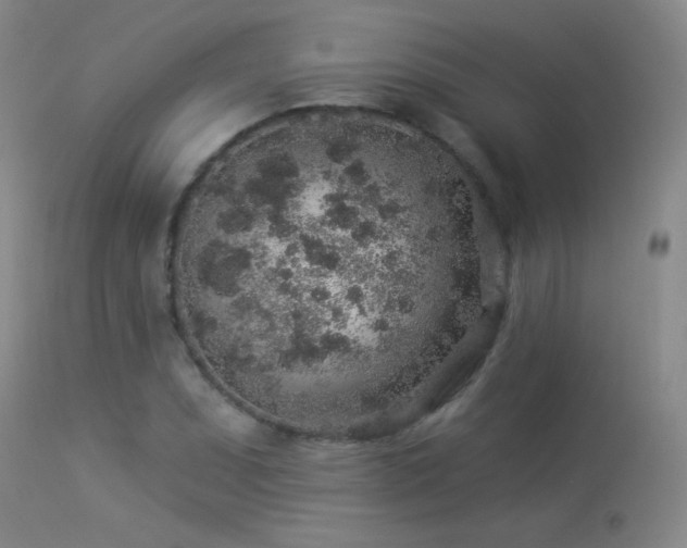 X0000114211071200910091318