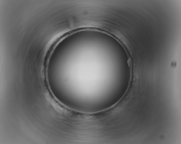 X0000114211072200910091318