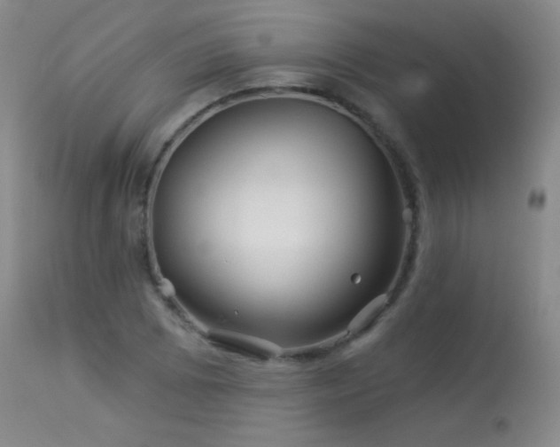 X0000114211073200910091318