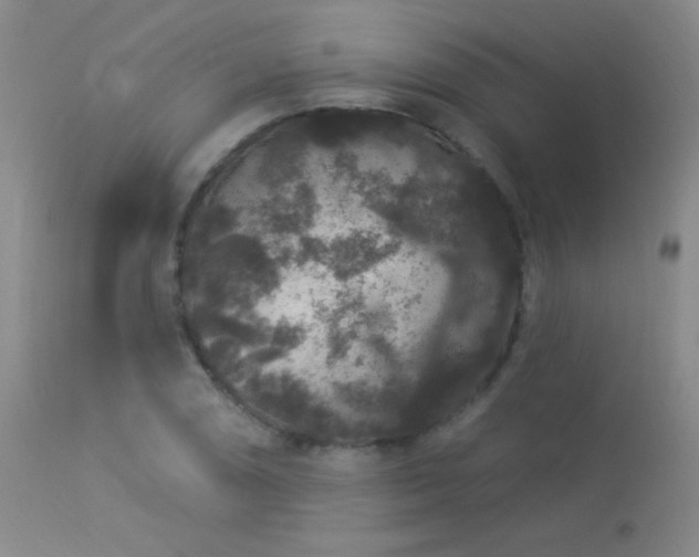 X0000114211074200910091318
