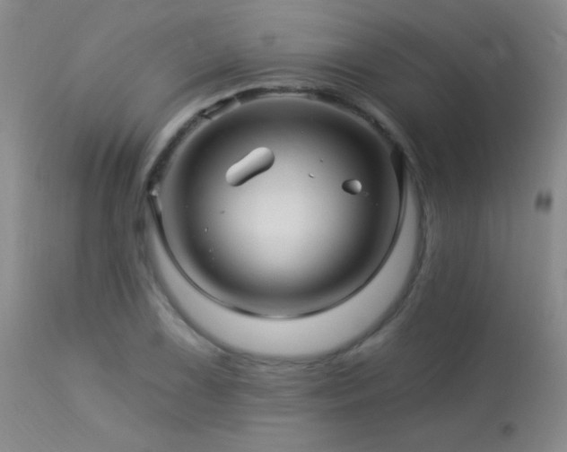 X0000114211075200910091318