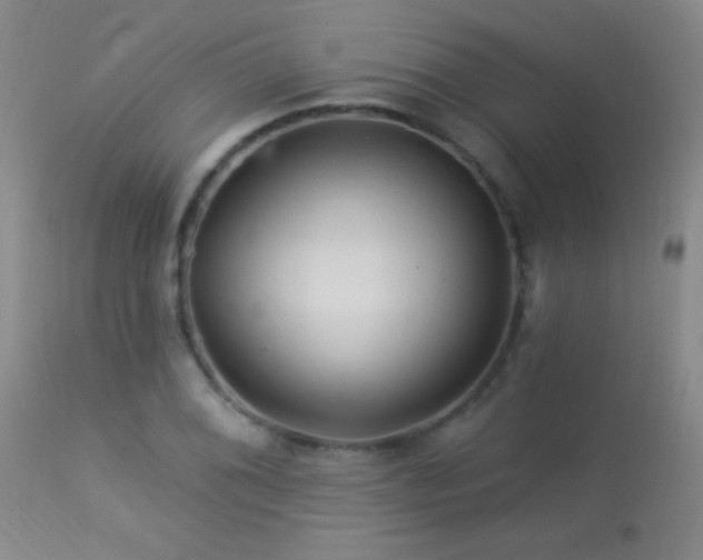 X0000114211076200910091318