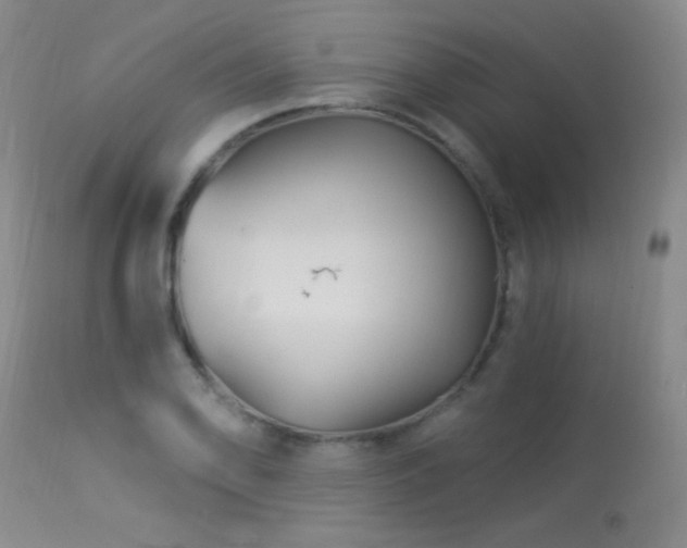 X0000114211078200910091318