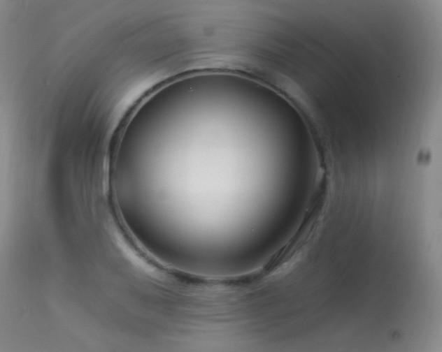 X0000114211079200910091318