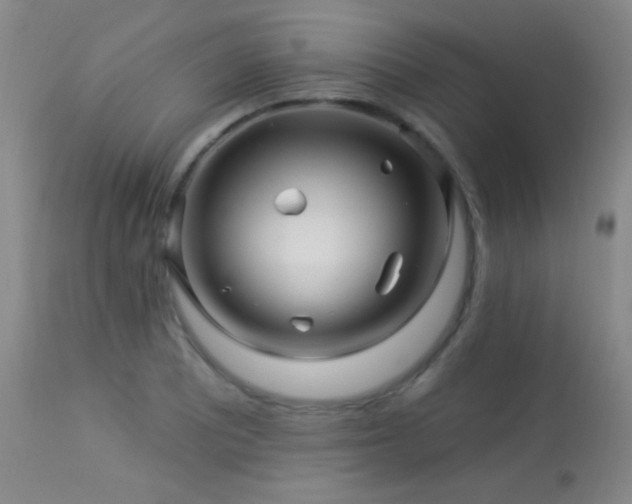X0000114211081200910091318