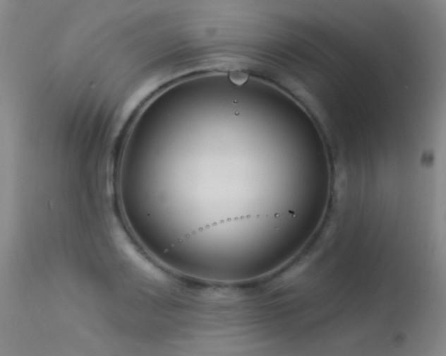 X0000114211083200910091318
