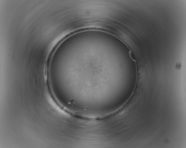 X0000114211084200910091318