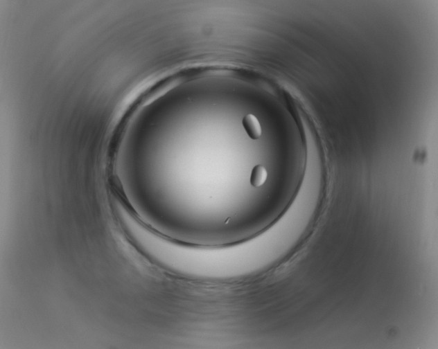 X0000114211085200910091318